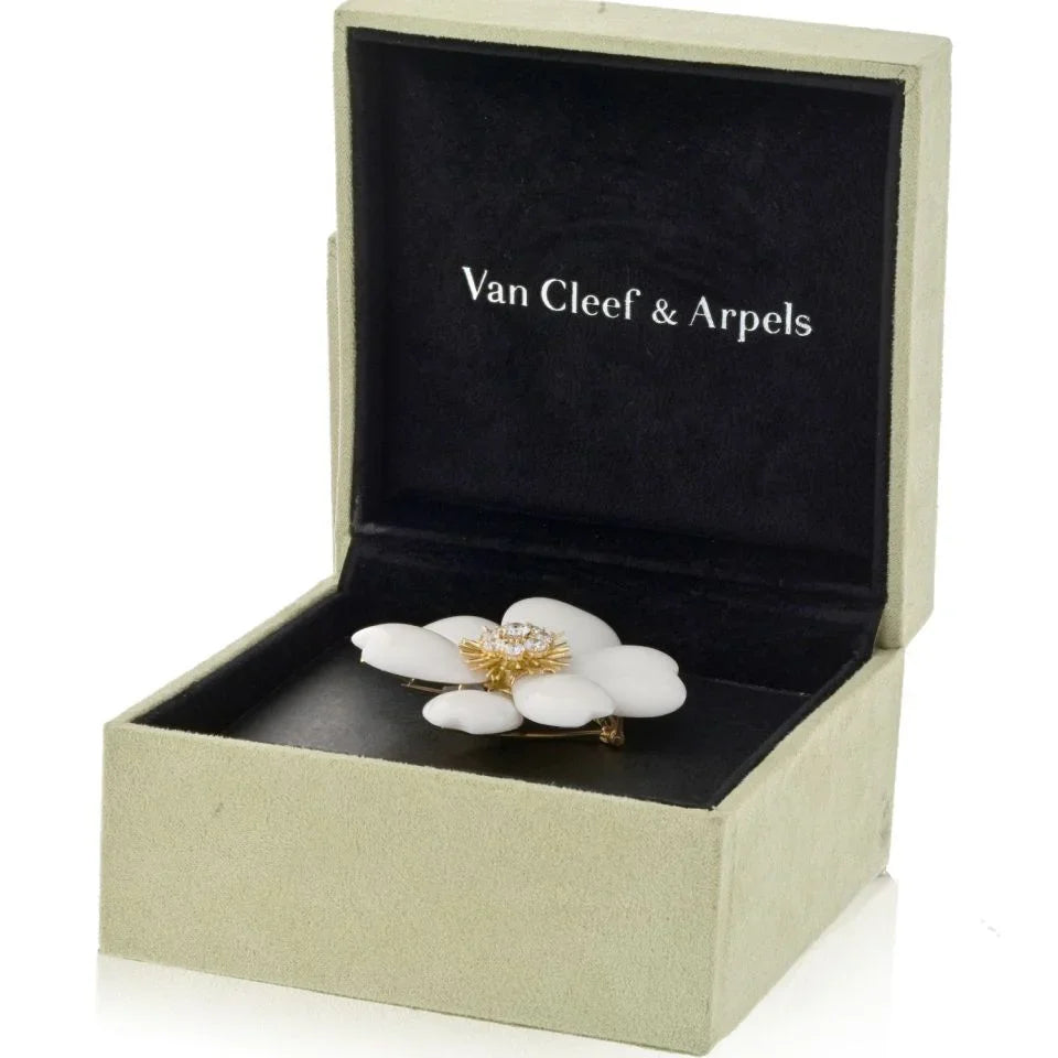 Van Cleef & Arpels 18K Yellow Gold Rose De Noel White Coral Large Model Brooch - The Back Vault