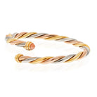 Cartier 18K Yellow Gold Tri-Color Twist Bangle With Coral Tips Bracelet - The Back Vault