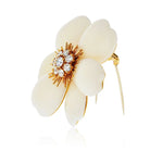 Van Cleef & Arpels 18K Yellow Gold Rose De Noel 2 Inches White Coral Brooch - The Back Vault