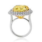 21 Carat Cushion Cut Fancy Deep Brownish Yellow VVS1 Double Halo Engagement Ring - The Back Vault