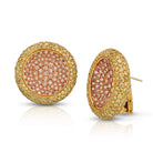 18K Yellow Gold 16 carat Natural Fancy Yellow and Fancy Pink Diamond Earrings - The Back Vault Jewelry