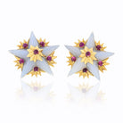 Tiffany & Co. Schlumberger 18K Yellow Gold French Agate, Ruby Star Earrings - The Back Vault Jewelry