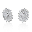 David Webb Platinum & 18K White Gold Oval And Round Cut Diamond Cluster Earrings - The Back Vault