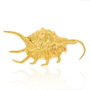 David Webb Platinum & 18K Yellow Gold Conch Brooch