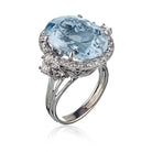 Platinum 31.47 carat Oval Aquamaring And Diamond Ring - The Back Vault